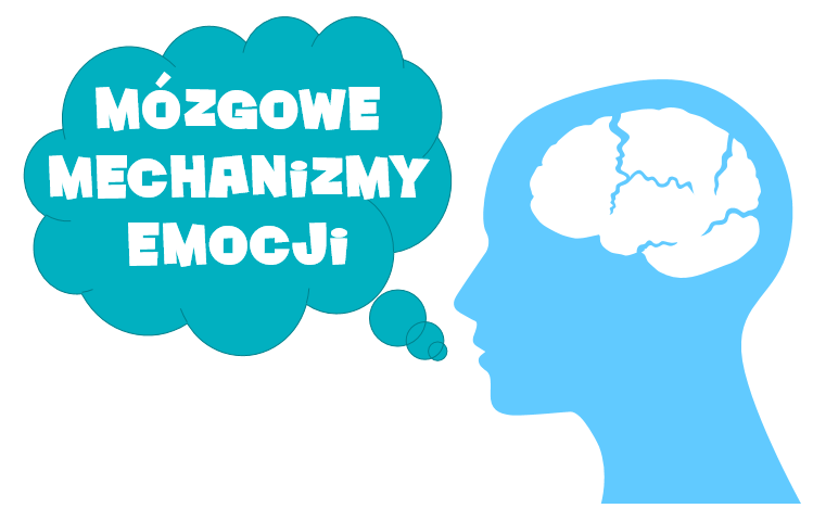 Źródło: internet